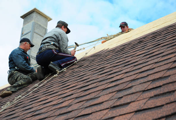 Best Roof Maintenance Services  in Fate, TX